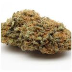 Шишки AK47  (Гидропоника, Бошка) VHQ в Барабинске